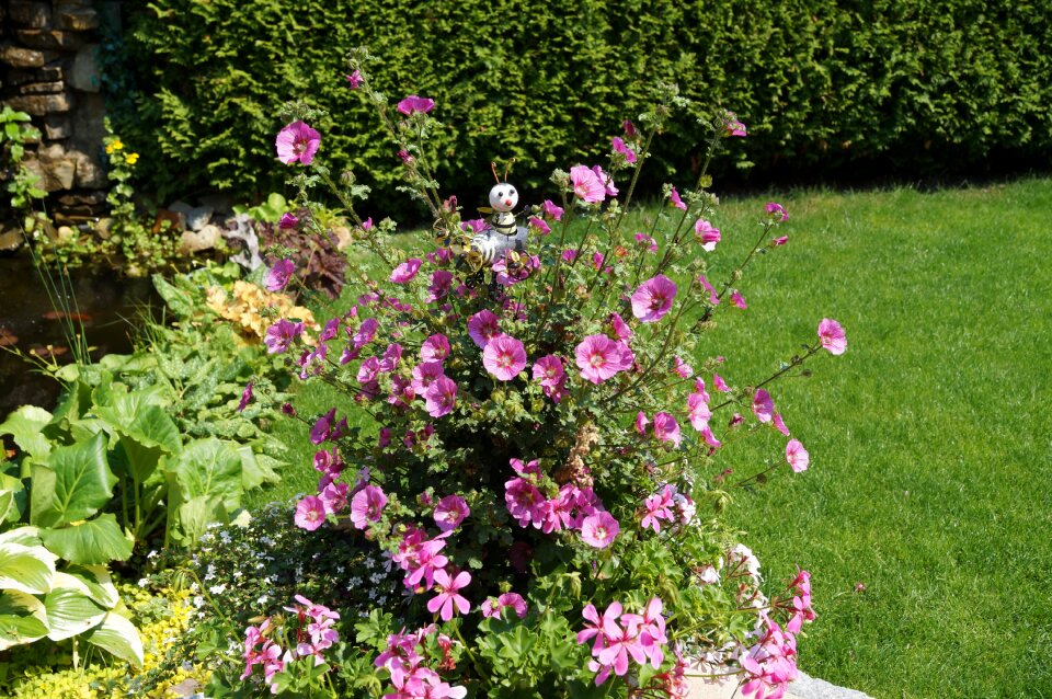 Kitsch flowers pink mallow