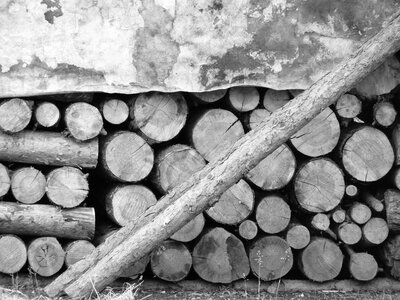 Supply winter tree