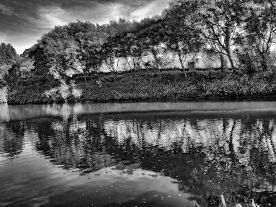 Black and white nature lake