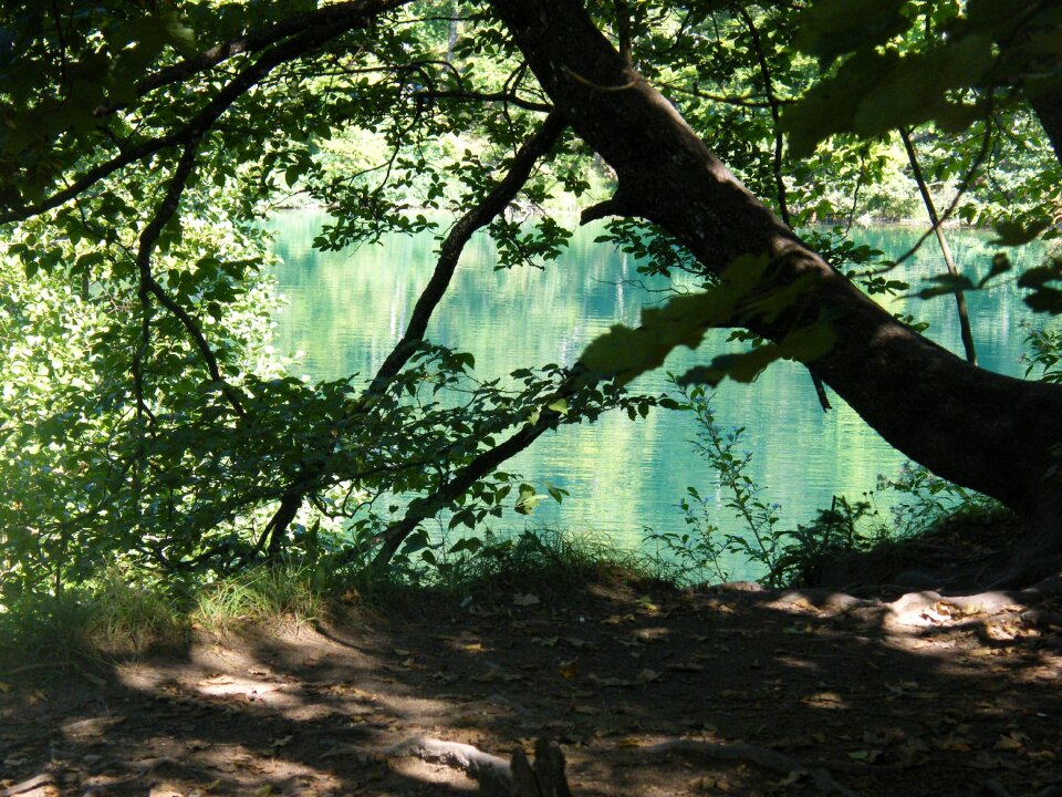 Plittvice lake magic