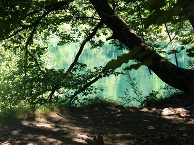 Plittvice lake magic