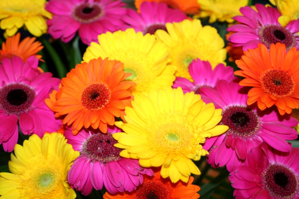 Gerbera summer bouquet of flowers