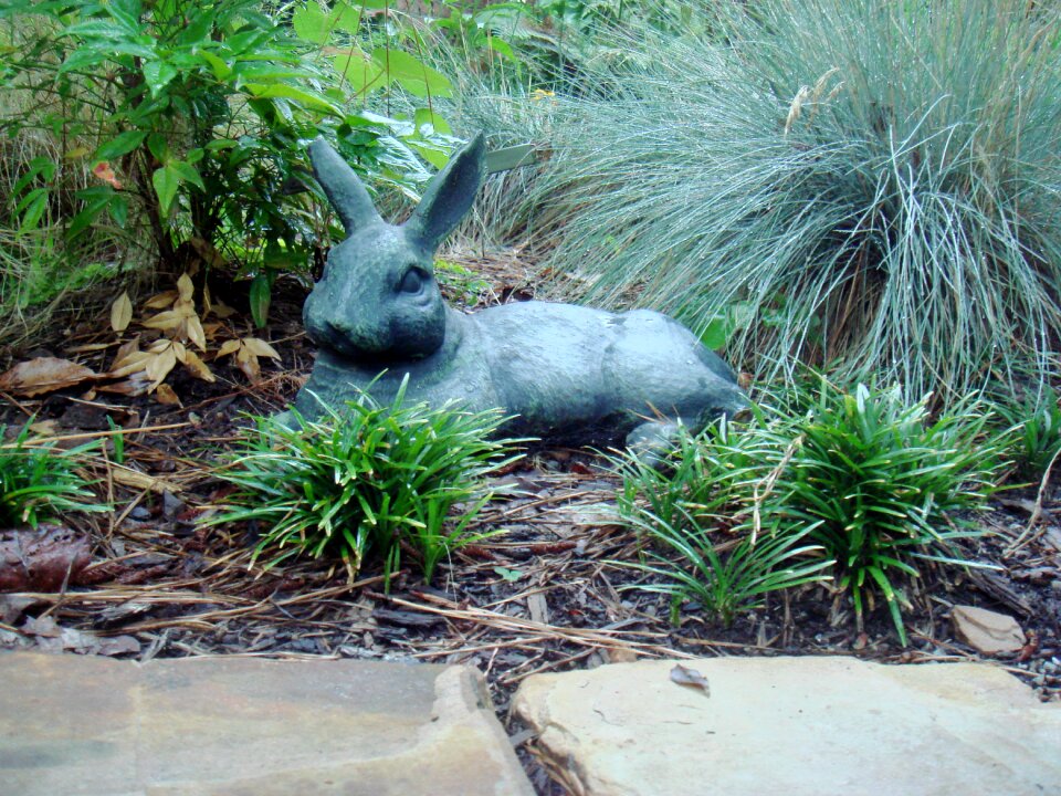 Animal statue nature