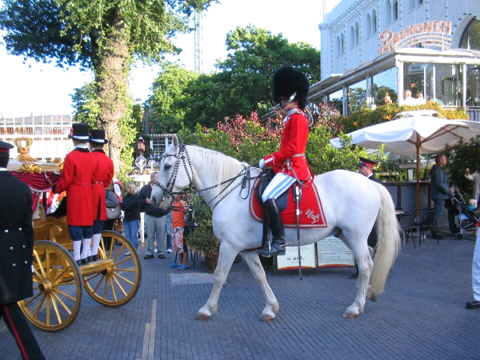 Horses riders house