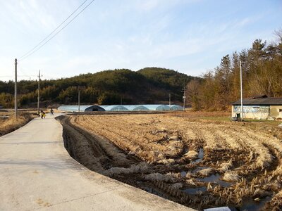 Rural landscape winter plastic greenhouse