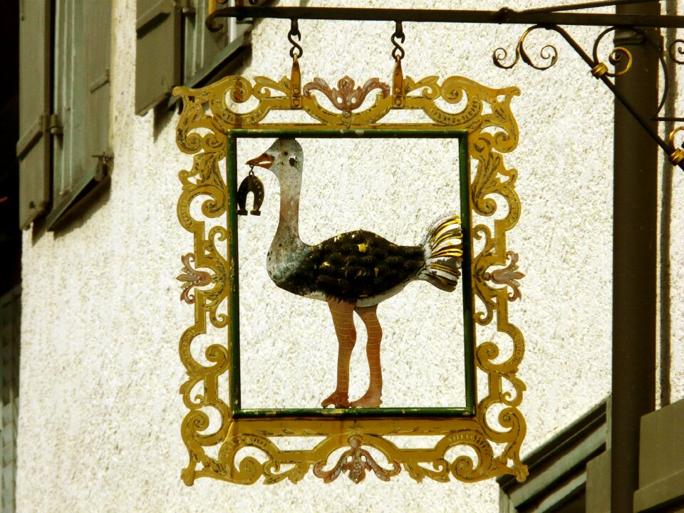 Storks shield house