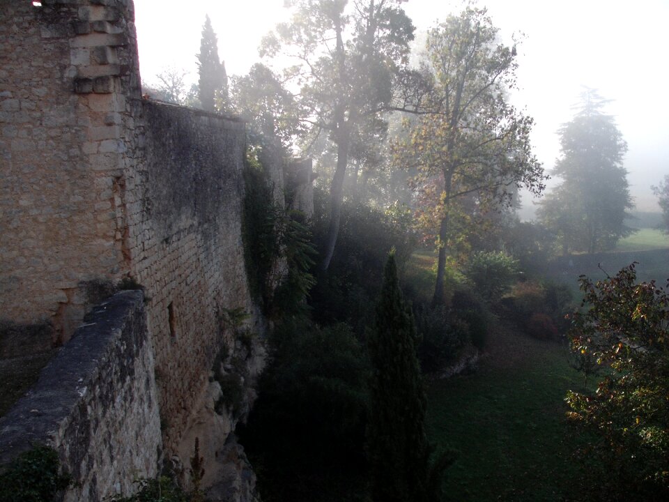 France wall fog