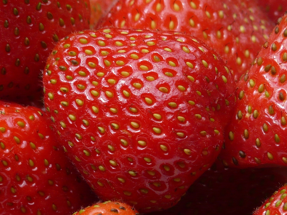 Berry red delicious