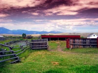 Feedlot house barn photo