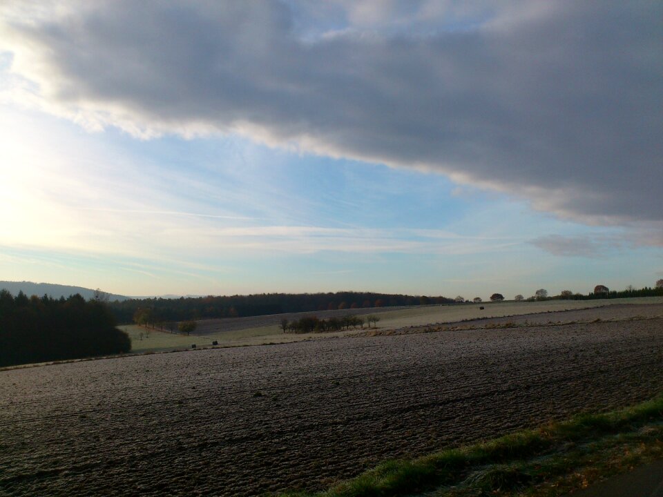 Ripe winter morning winter