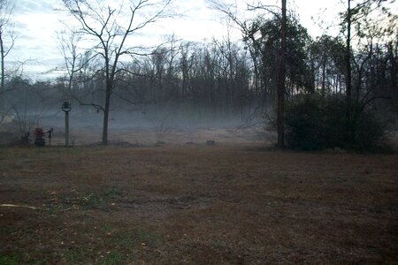 Landscape mist morning