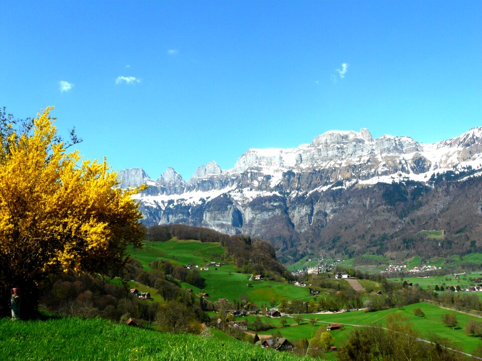 Austria meadow spring