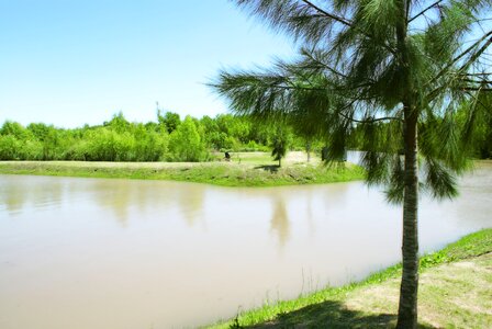 Pond river tree photo