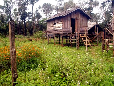 Hut cabin wooden photo