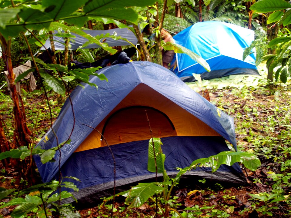 Camp jungle wilderness