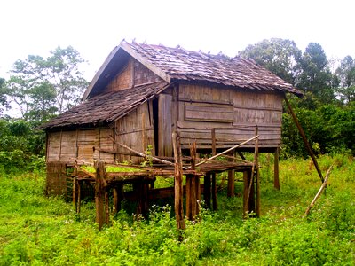 Hut cabin wooden photo