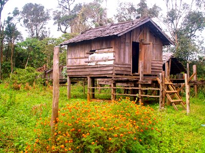 Hut cabin wooden photo