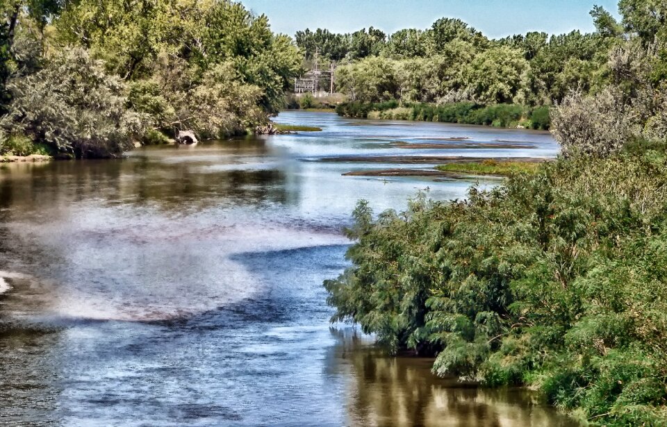 Reflections trees hdr