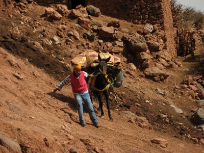 Trekking hiking carrier