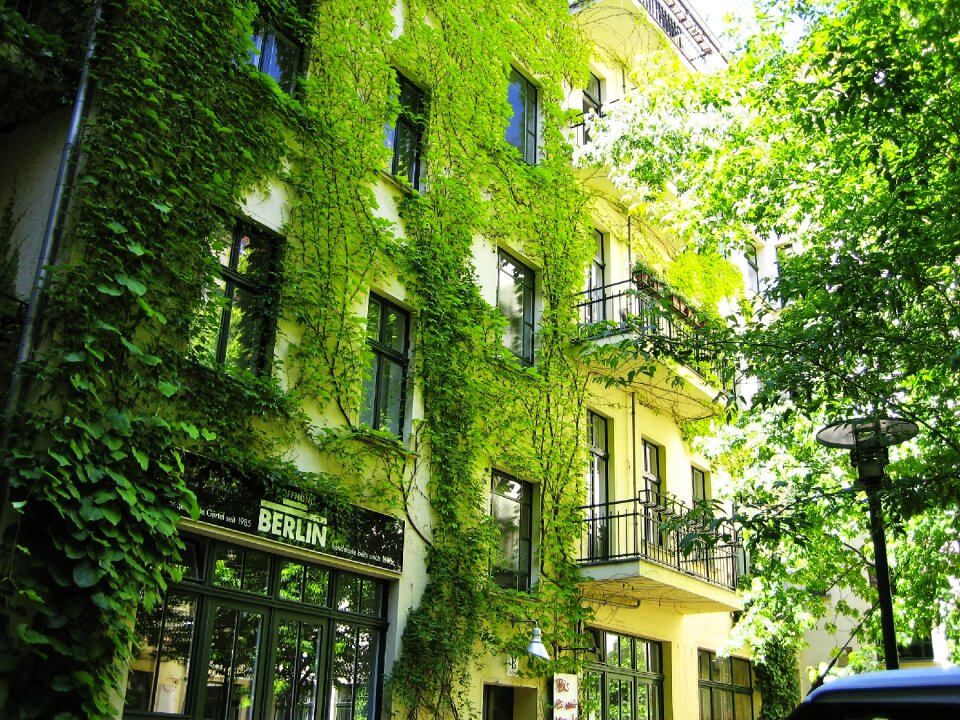 Berlin hackesche höfe green