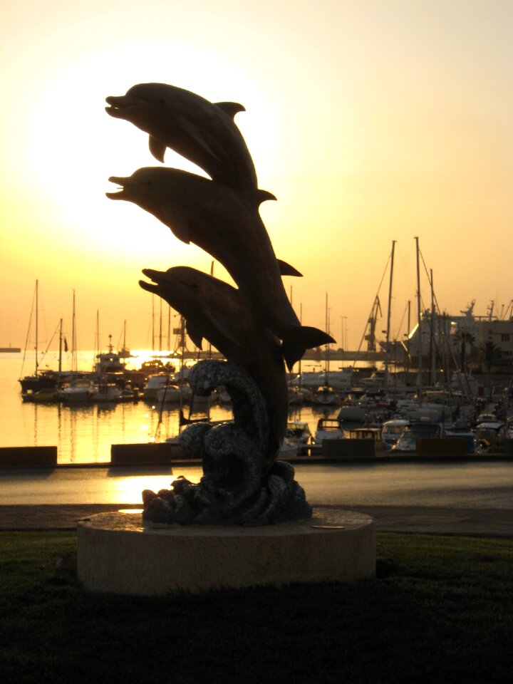 Dolphins sunrise sculpture