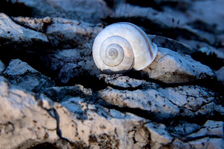 Marble weathered stone