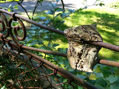 Overgrown bars wire
