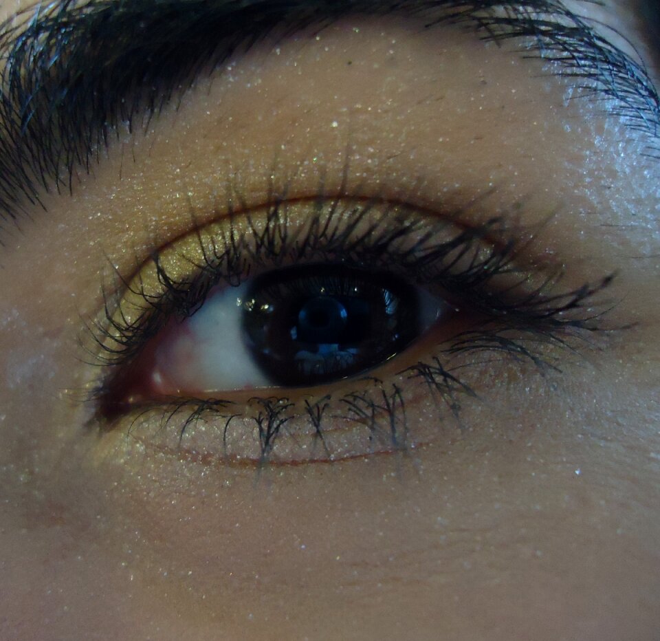 See view camera lens