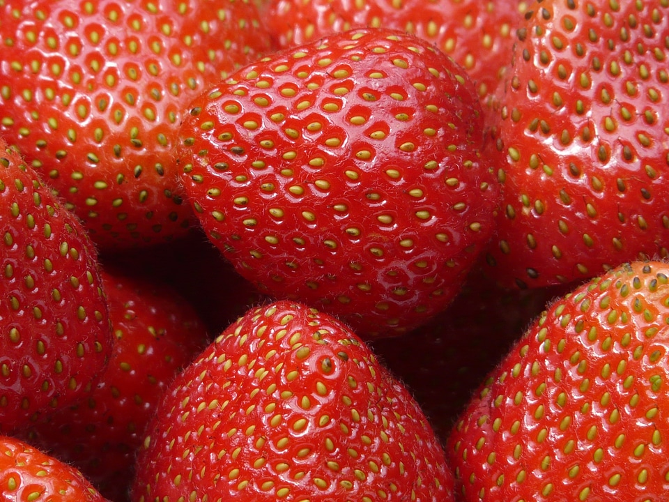 Sweet berries fruit