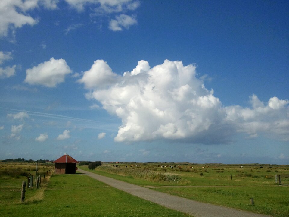 Sky blue nature