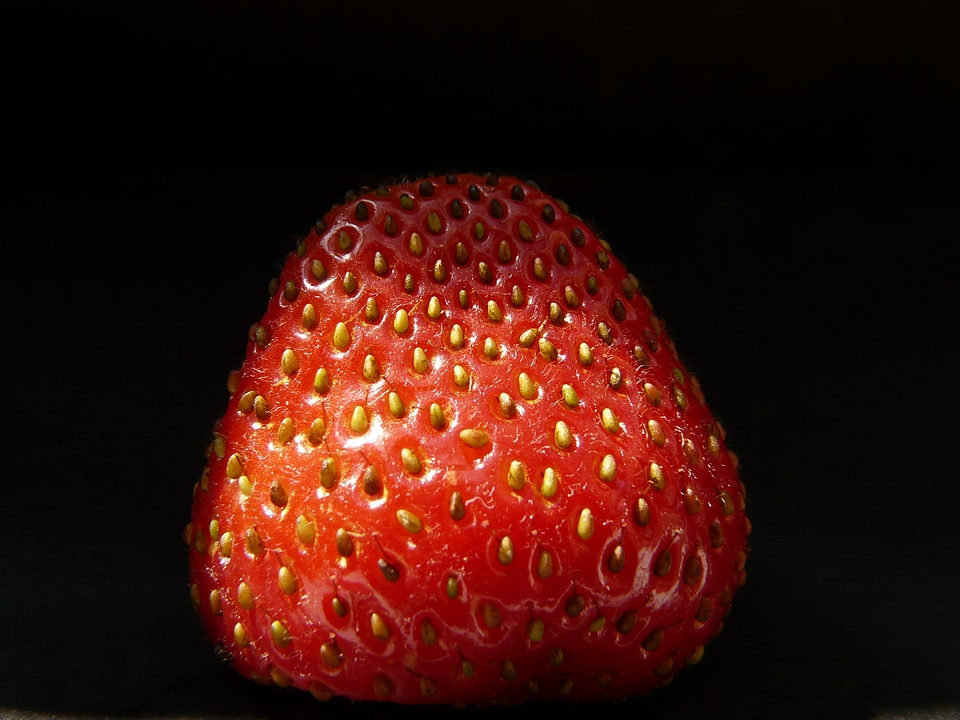 Fruits sweet berries