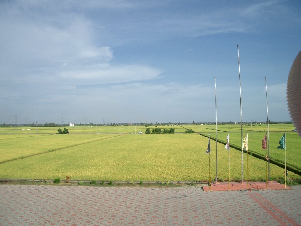 Countryside landscape harvest