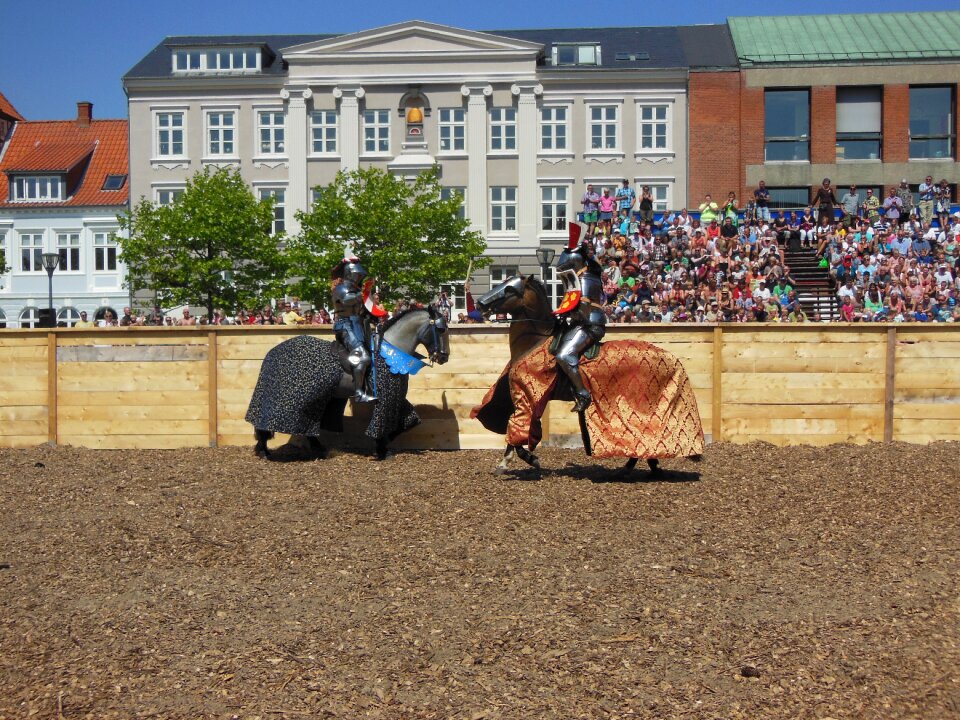 Tournament horse shield rugs