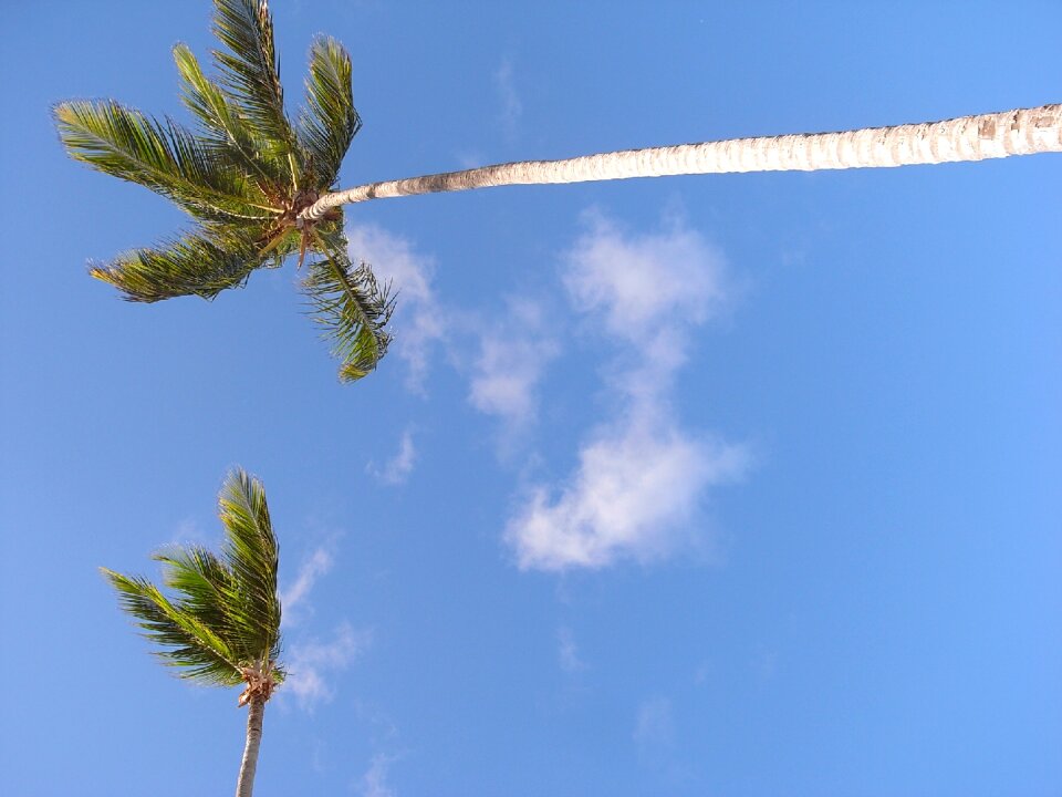 Beach vacations sea