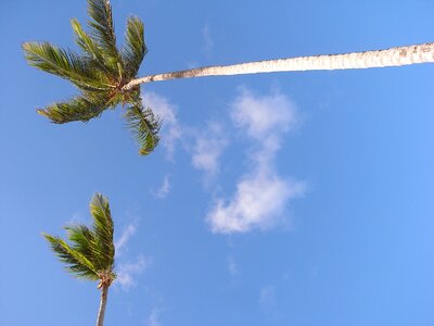 Beach vacations sea