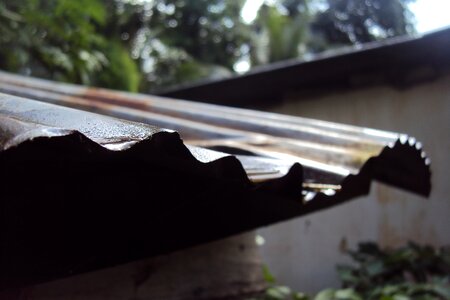 Rain rainy day rusty