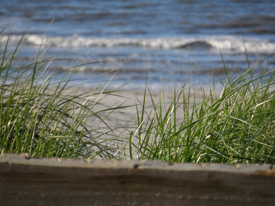 Beach north sea sea