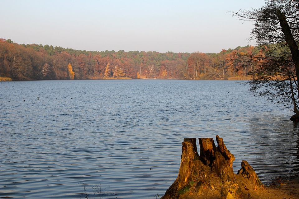 Autumn trees schlachtensee