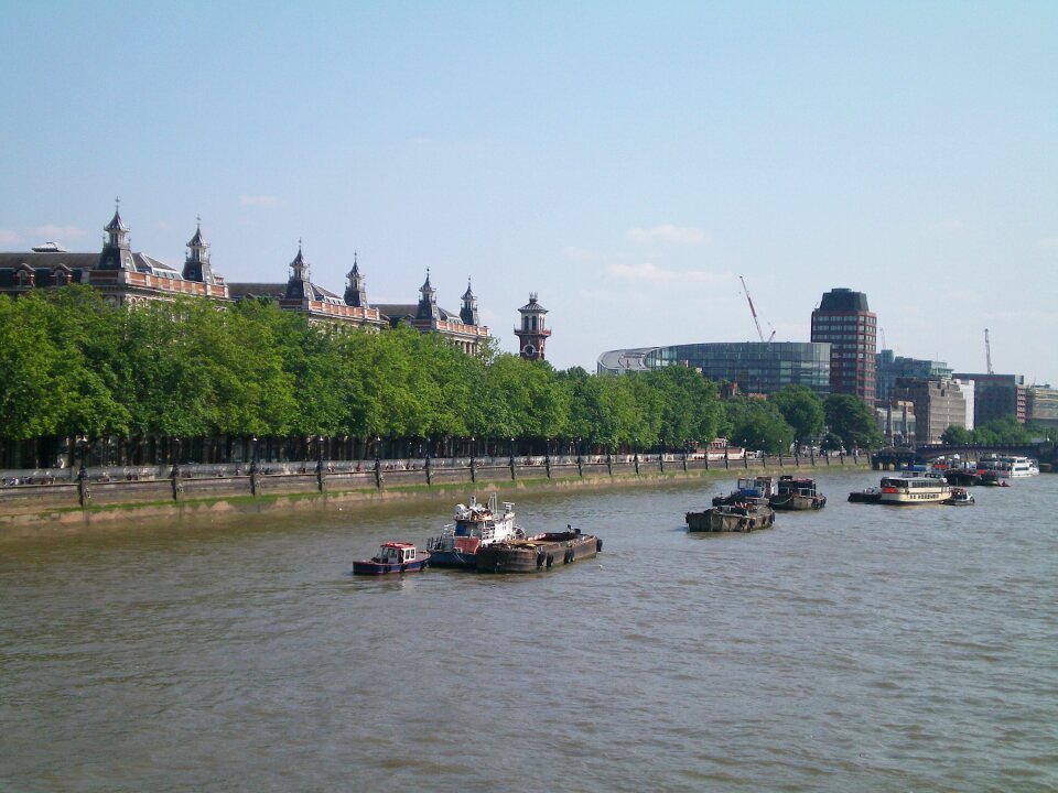 The river thames part trees