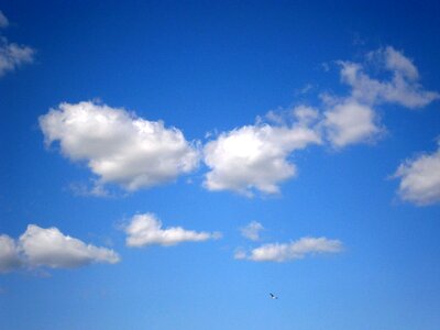 Sky blue white