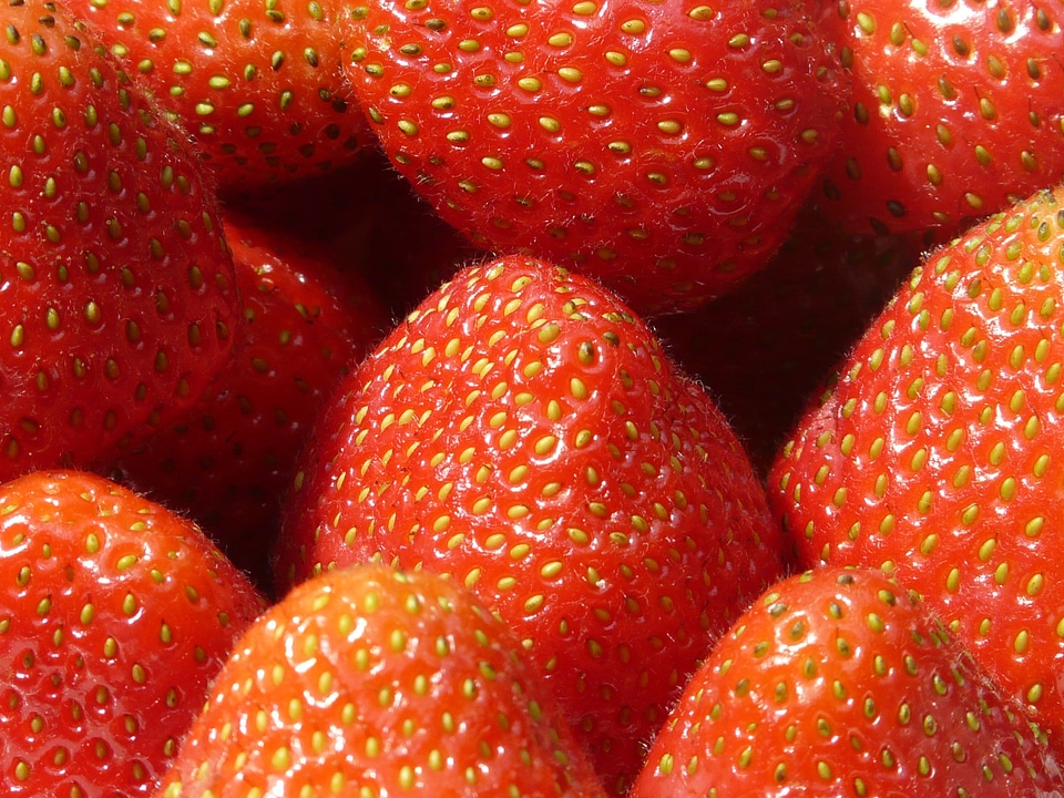 Fruits sweet berries