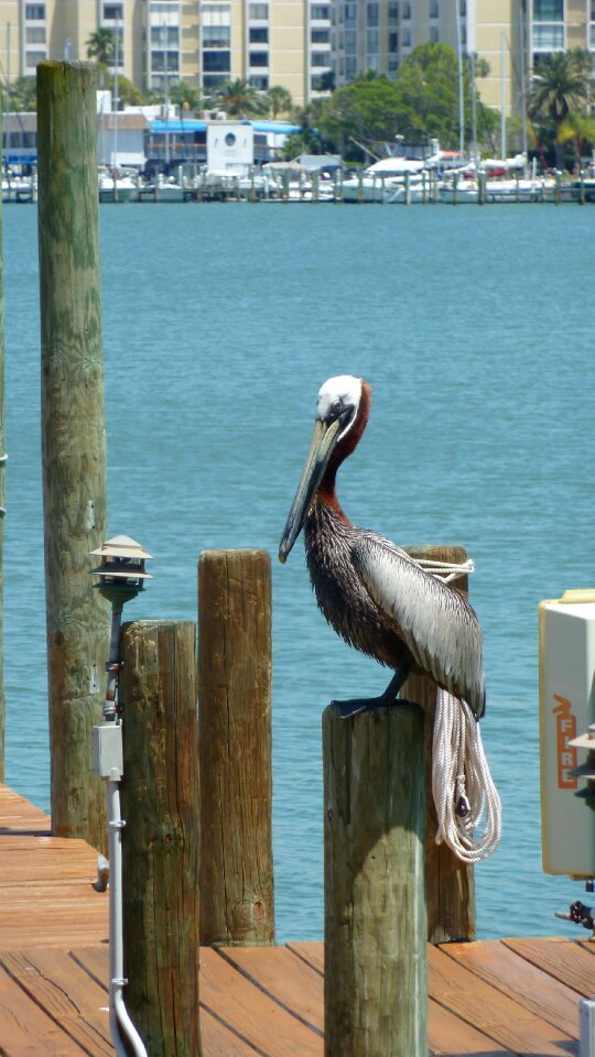 Water harbour lagoon