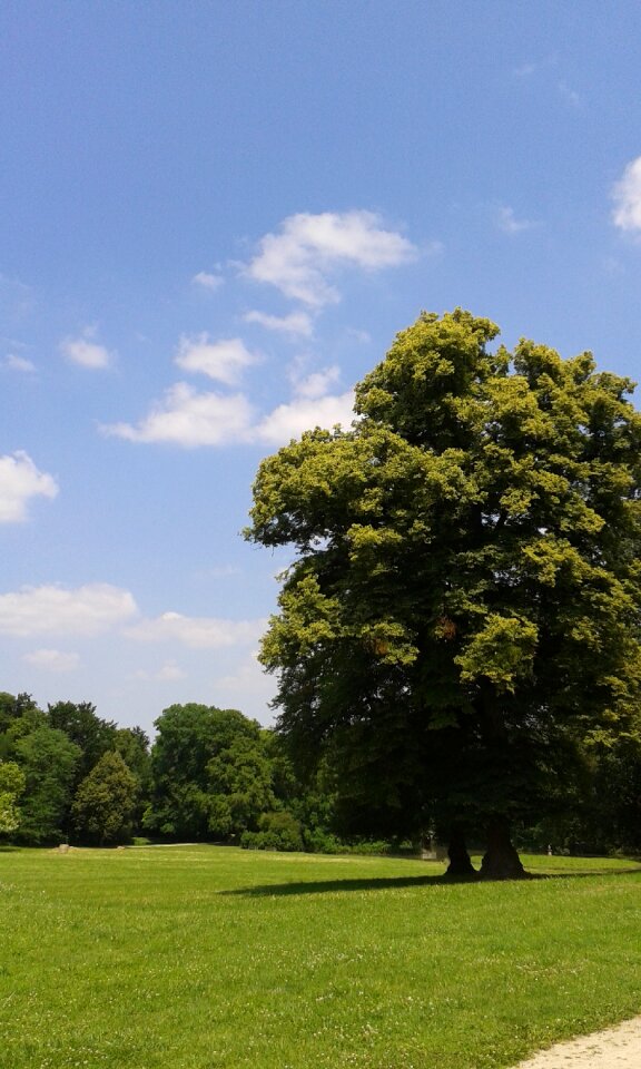 Herrnsheim park summer