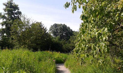 Away summer nature