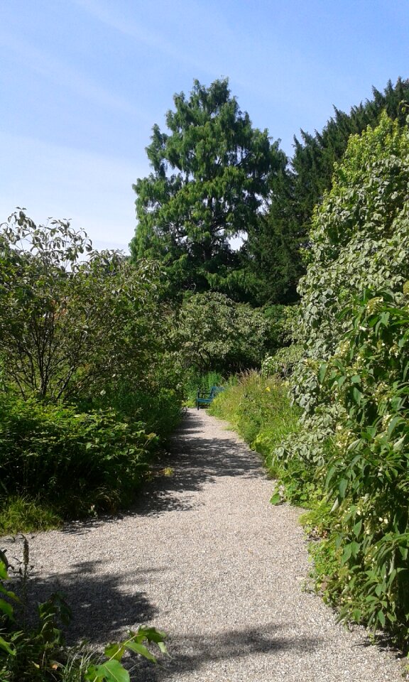 Away summer nature