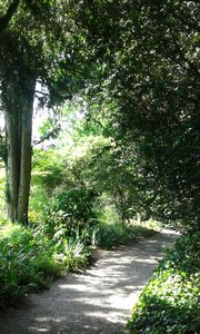 Away summer nature