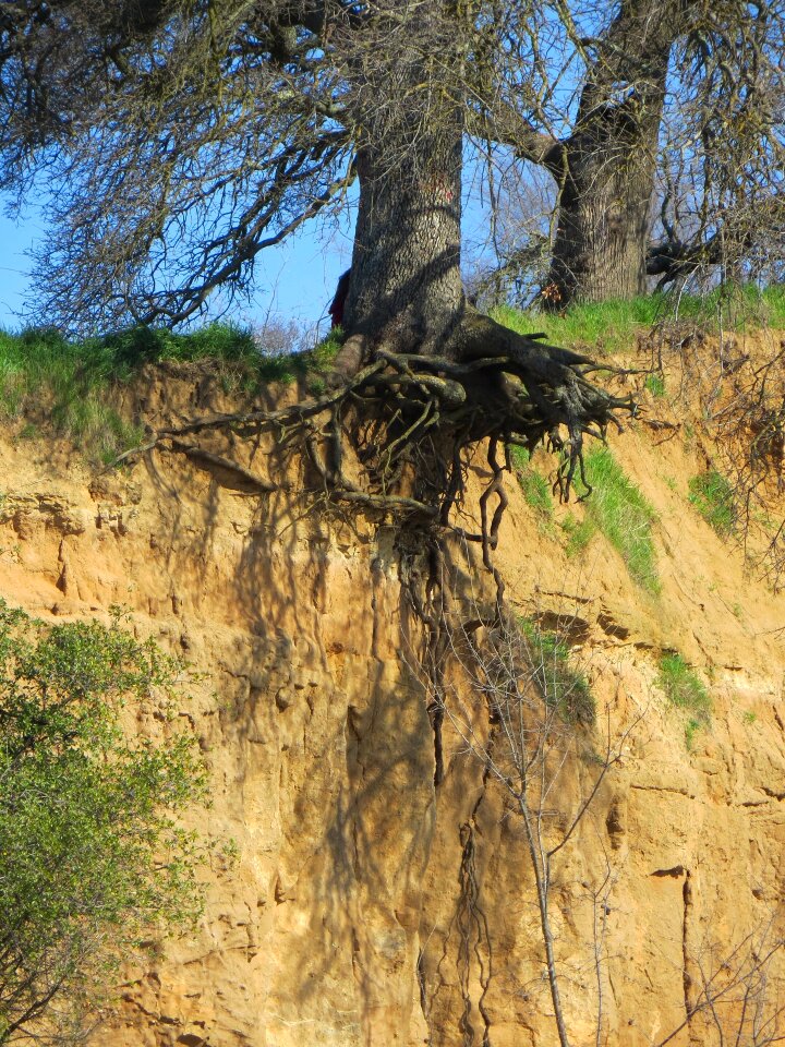 Cliff bluff exposure