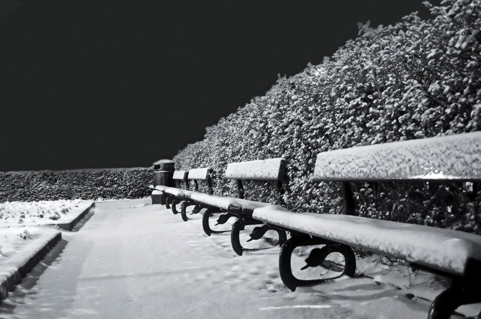 Seasons benches bench