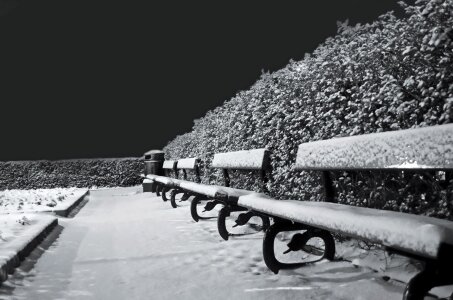 Seasons benches bench photo