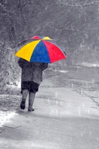 Umbrella color rain photo
